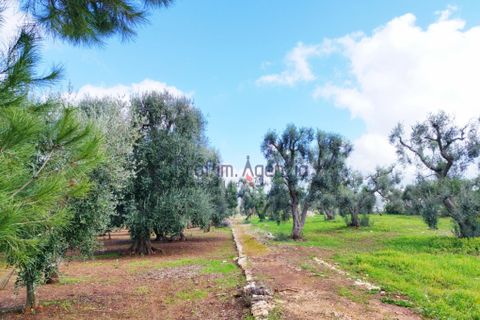 Landejendom i Ostuni, Brindisi, Ostuni - € 135.000 | Ref: 172532 - foto 14